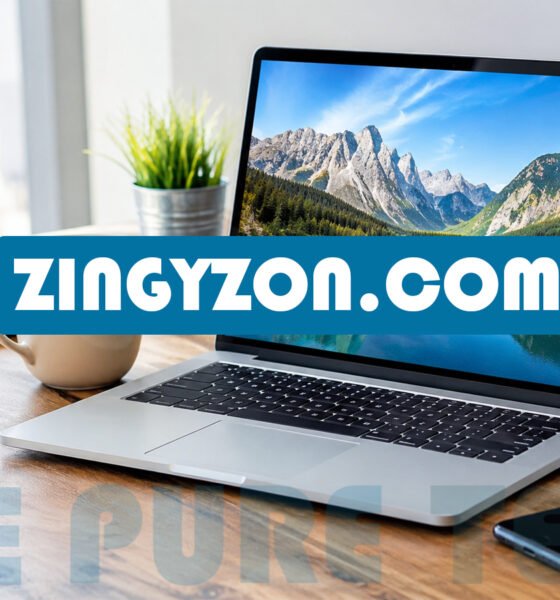 Zingyzon.com