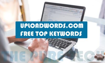 uploadwords.com free top keywords
