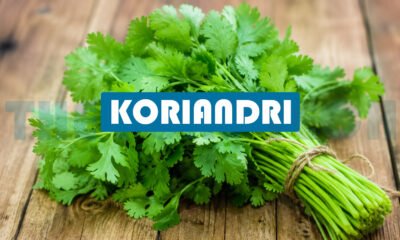 Koriandri