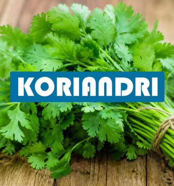 Koriandri