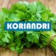 Koriandri