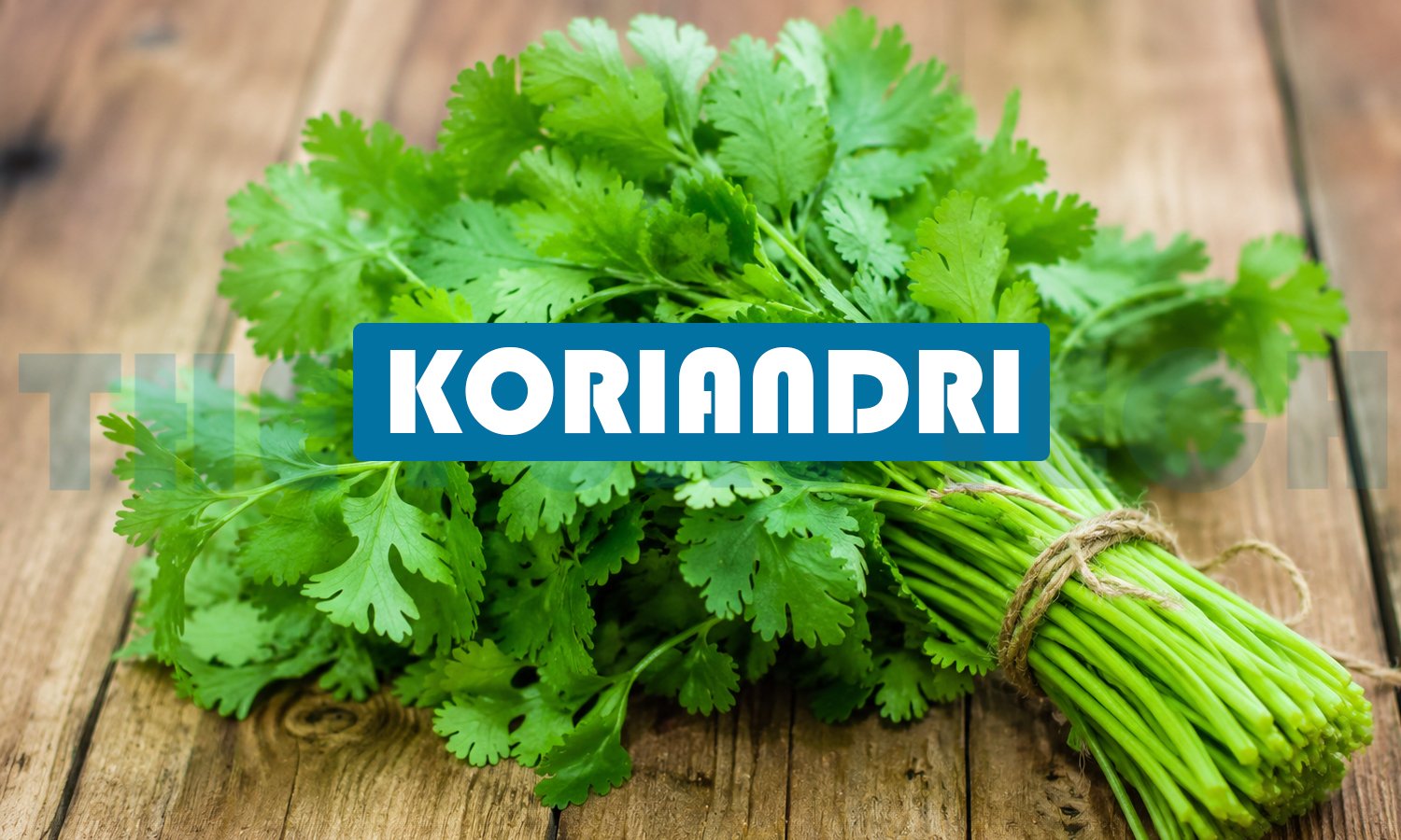 Koriandri