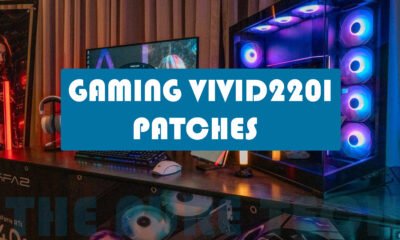 gaming vivid2201 patches